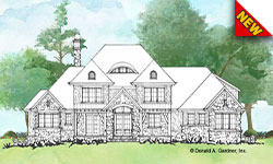 Conceptual House Plan 6006